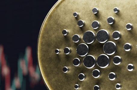 Cardano Diamond Hands: Long-Term Holders Unfazed by Sell-Off