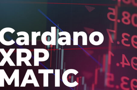 Cardano, XRP and MATIC Are Down by Double Digits as Bitcoin Falls to New Lows