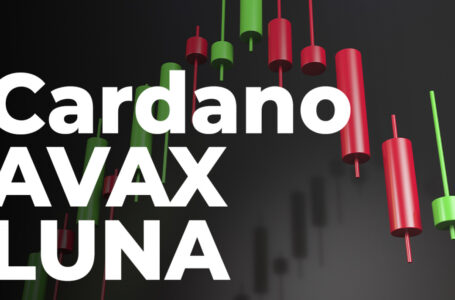 Cardano, AVAX and LUNA Enter Extremely Oversold Zone, Here’s What It Means for Market