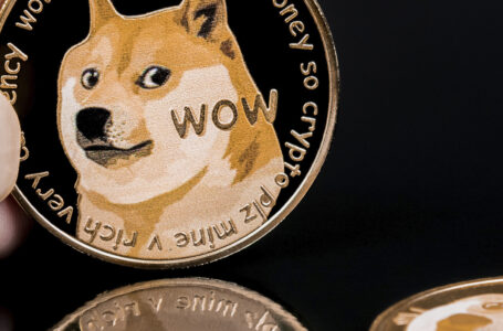 Dogecoin Tumbles 17%, DOGE Co-Founder Reacts to Price Drop: Details