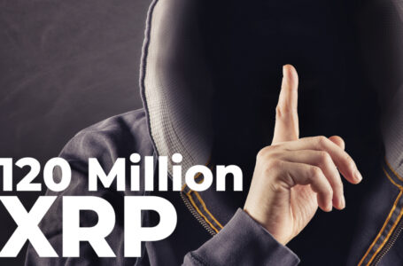 120 Million XRP Moved by Anonymous Whale to Private Wallet: Details