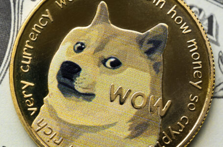 Dogecoin Bounced by 20% in Last 24 Hours: Here’s Why