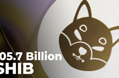 105.7 Billion SHIB Bought by These Major Ethereum Whales: Report