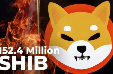 152.4 Million SHIB Burned In Past Seven Days: Details