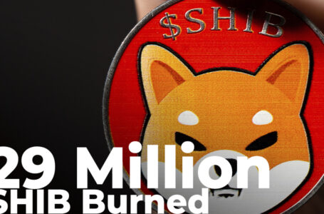 29 Million SHIB Burnt Over Last 24 Hours Amid 17% Weekly Fall