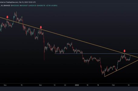 BTC Price Analysis: Bitcoin Taps $44K But Warning Signs Appear, What’s Next?
