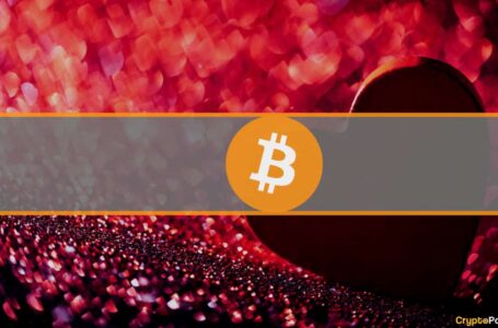Cryptocurrency Investors Are More Attractive on The Dating Scene (Study)