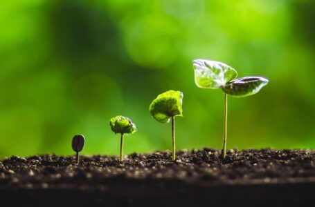 PwC Report: Crypto Merger Deals Skyrocketed 5,000% in 2021