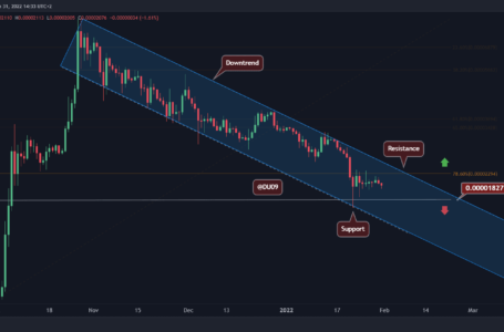 Shiba Inu Price Analysis: SHIB Continues Sideways, Trading 75% Below All-time High