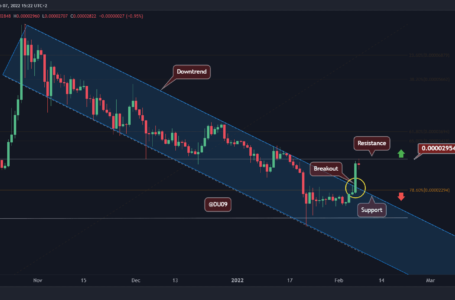 SHIB Breaking Out Huge Resistance, Here is The Next Target