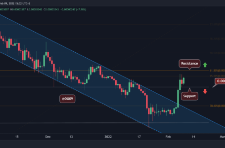 Shiba Inu Price Analysis: SHIB Attempts to Move Higher, Here is the Next Level to Watch