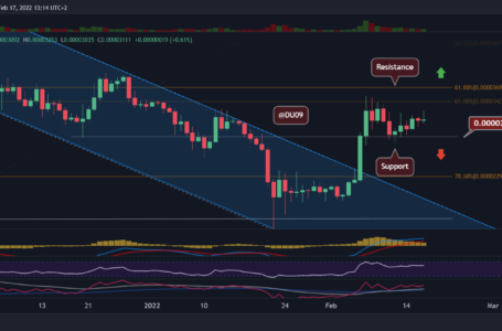 Shiba Inu Price Analysis: SHIB Fails to Move Higher as Correction to Critical Support Looms