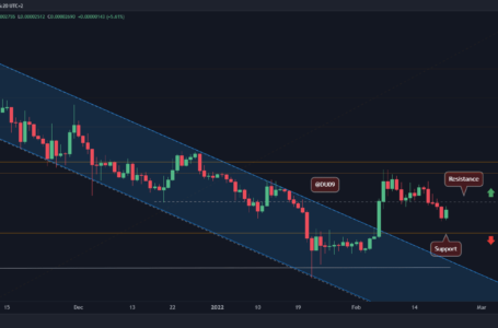 Shiba Inu Price Analysis: SHIB Crashes Below a Critical Support, What’s Next?