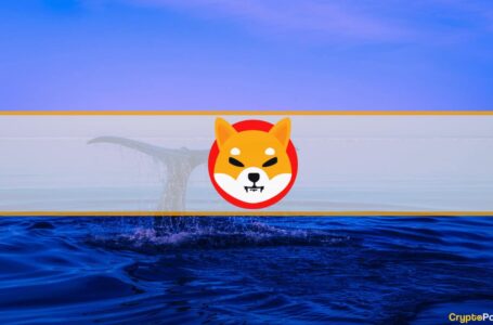 Top 100 SHIB Holders Control Over 25% of the Total Shiba Inu Supply