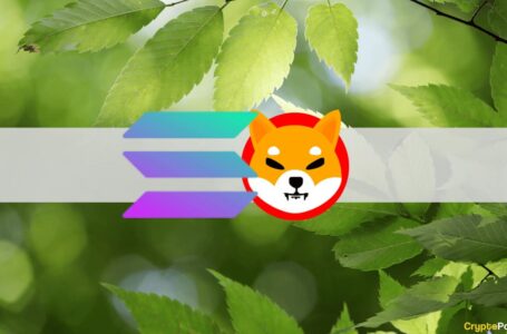 Bitcoin Reclaims $39K: Shiba Inu and Solana Soar 8% (Market Watch)