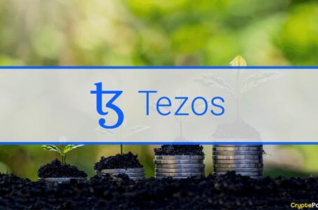 The Tezos Network and its Silent Growth Over the Past Year