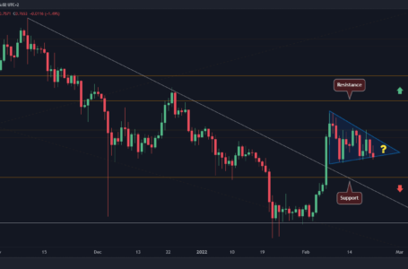 Ripple Price Analysis: XRP Holds Steady Despite Broader Market Crash