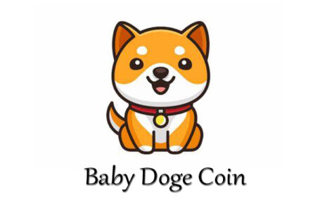 Baby Doge Coin (BABYDOGE) Review