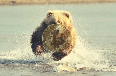 No Bitcoin Bull Run Until End of 2024: Huobi Co-Founder