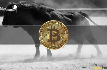 Bitcoin Explodes 18% in a Week, Total Market Cap Reclaims $2T: This Week’s Crypto Recap