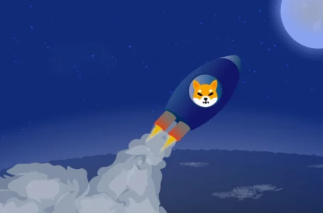 Technical Analysis: SHIB Climbs 50% Higher, as Meme Coin Hits $16 Billion Market Cap