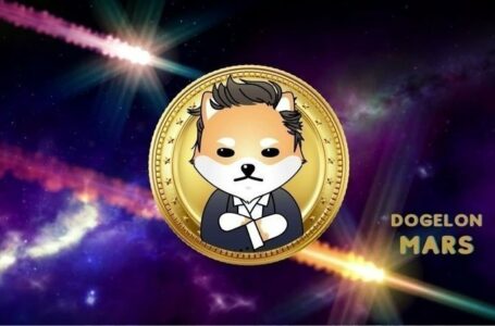 Dogelon Mars (ELON) Review: All You Need To Know