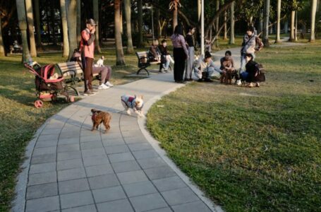 Will Shiba Inu’s latest foray into the metaverse be its loudest bark yet