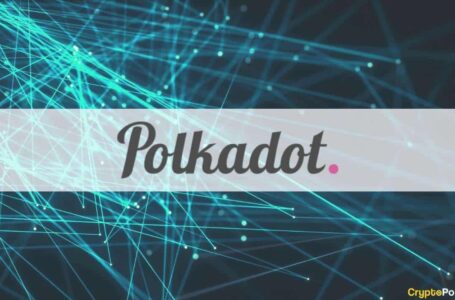 Polkadot Allocates 993,286 DOT to Boost its Ecosystem and Web3 Development