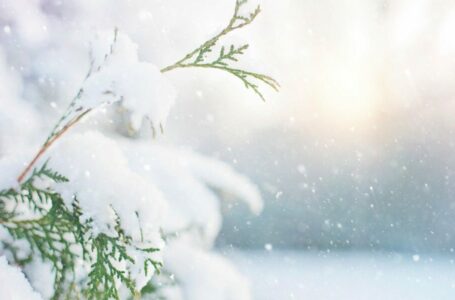 Could January’s crypto ‘winter’ actually be here to stay