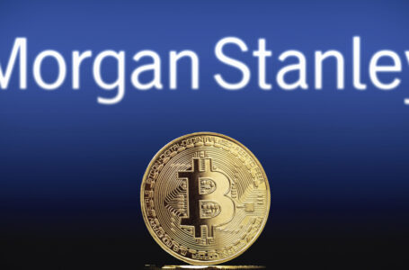 Morgan Stanley Plans on Purchasing More Bitcoin in 2022, Data Analysis