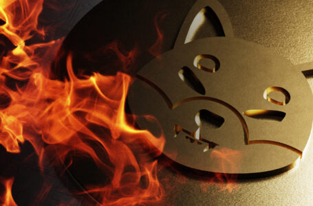 49 Million Shiba Inu Tokens Burned Amid SHIB’s 15% Rise