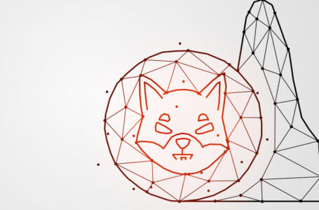 Shiba Inu Smart Contract Usage Increases by 600% as Cryptocurrency Market Recovers