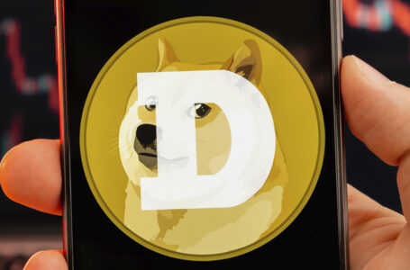 Beware: “DOGE,” “Dogecoin,” and Even Its Logos Are Now Registered Trademarks