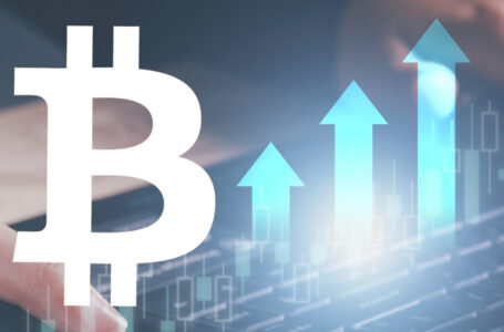 Short-Term Bitcoin Traders Increase Holdings by Nearly 5% as Retail Interest Returns: Details