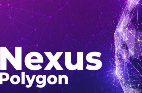 Nexus Multi-Platform Payments Gateway Debuts on Polygon: Details