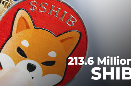 213.6 Million SHIB Burned in 10 Transactions, Half Billion to Be Gone on March 14