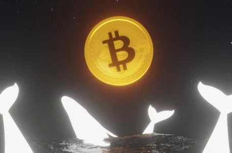 OmiseGO, REQ and LINK: Here’s Why Whales Are Buying Coins from 2017
