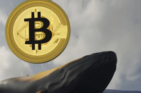 Whales Move Over 11,000 BTC in Just Hours as Bitcoin Plummets to Lows Near $40K: Details