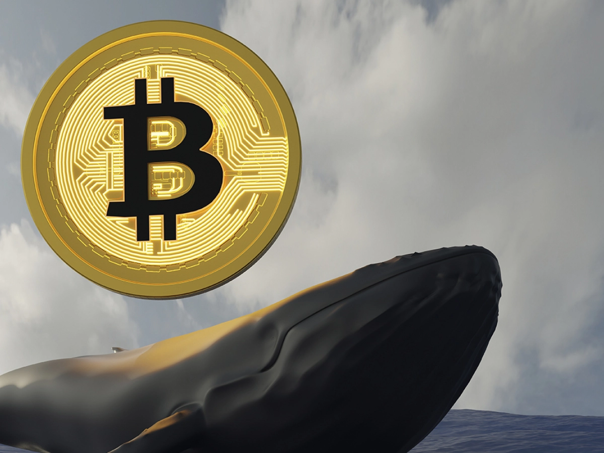 BTC