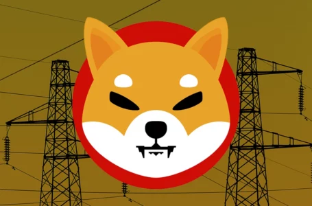 SHIB Payments Now Accepted by Australian Energy Company Through BitPay: Details
