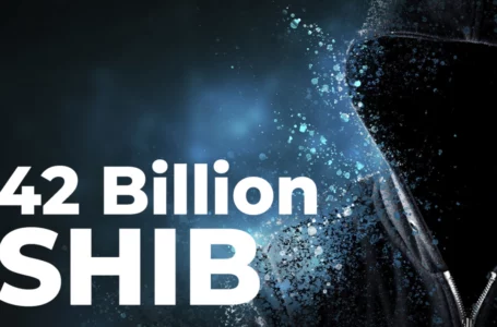This Shiba Inu Whale Just Grabbed 42 Billion SHIB Tokens