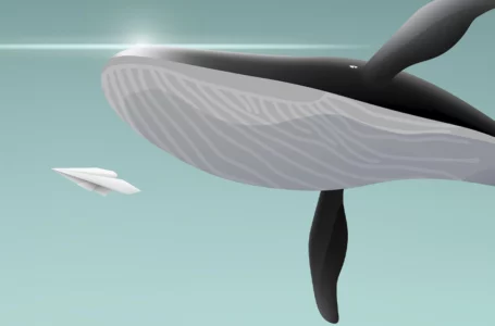 Ethereum Accumulation: Whale Addresses Are Still Buying Despite Suppressed Price Performance: Santiment