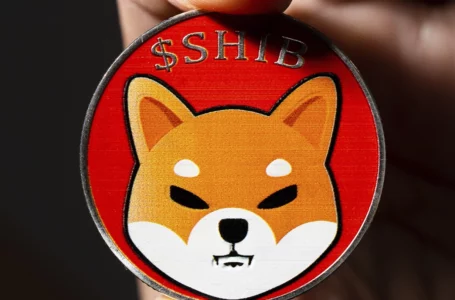 Thousands of SHIB Holders Apply to SHIB-Themed Restaurant Welly’s to Run New Locations