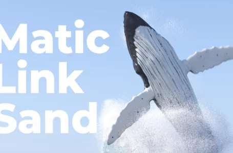 Matic, Link, Sand: Crypto Whales Are on Buying Spree, WhaleStats Report