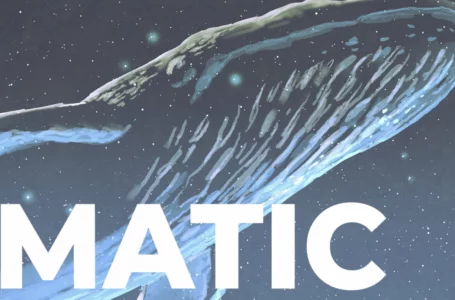 MATIC Large Transactions Increase by 105% as Whales Return: Details