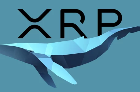 XRP Whales Move 60 Million Coins Between Wallets: Whale Alert