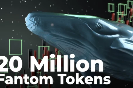 Whales Grab 20 Million Wrapped Fantom Tokens and 1.1 Million FTM Amid Dip-Buying: Details