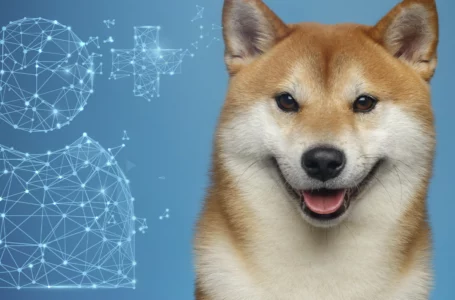 Shiba Inu Adds Nearly 200,000 Users Since the Start of 2022: Details