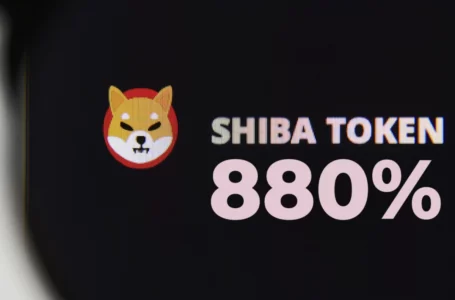 SHIB Accumulation by Top Holders Drives Up 24-Hour Trading Volumes by 880%: Details