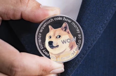 Dogecoin Accumulation Increases by 6.8% After Volume Reaches Almost $500 Million